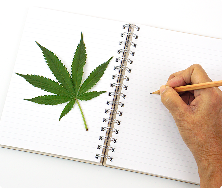 ListekMedMedycznaMarihuanaChorzów